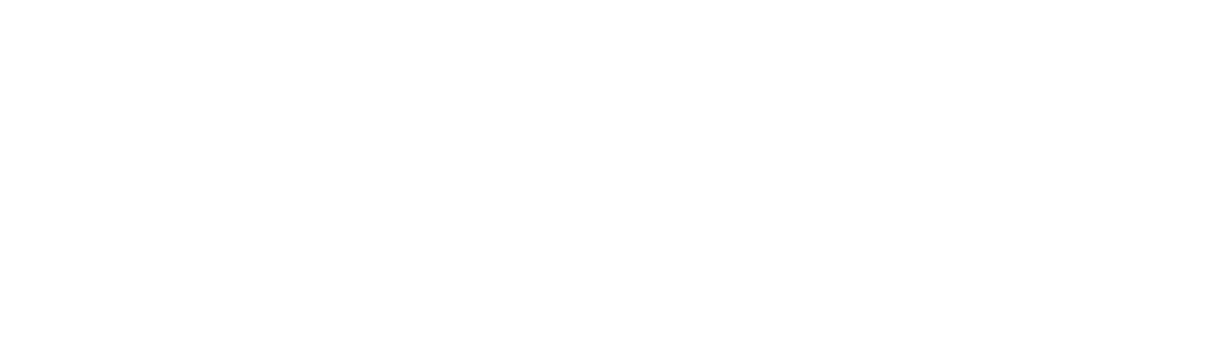 AQUA POS