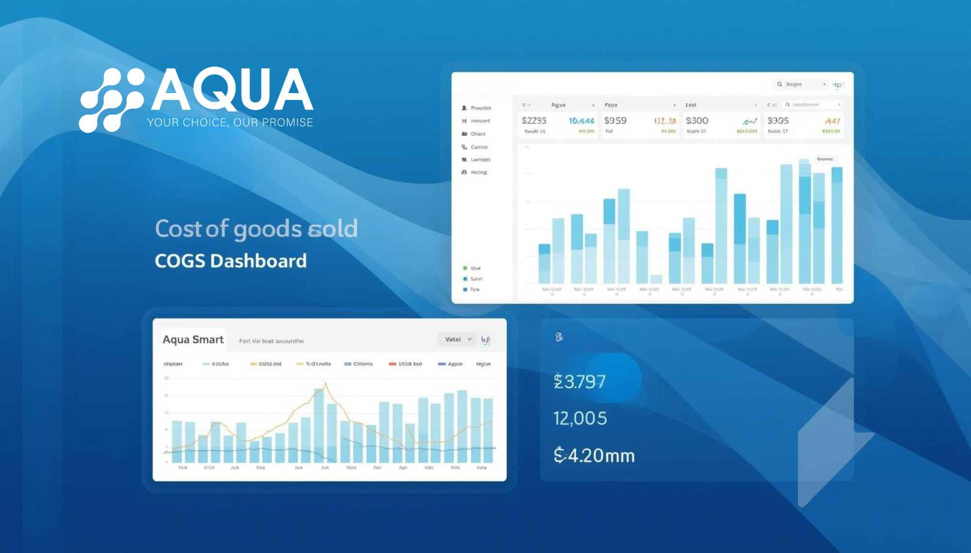 Aqua Cost Of Goods Sold