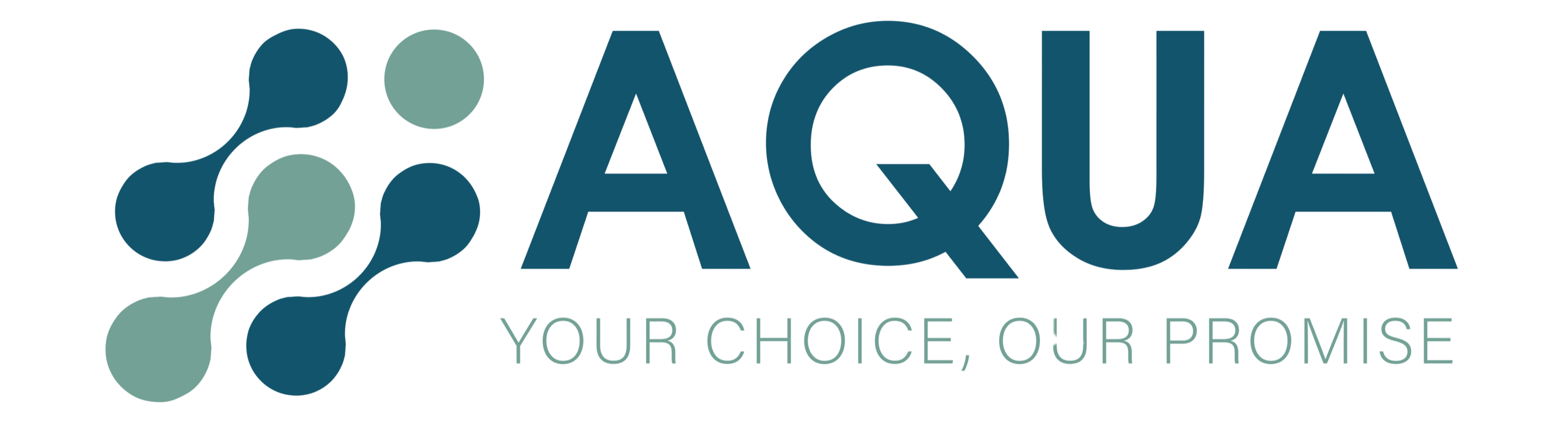 AQUA POS